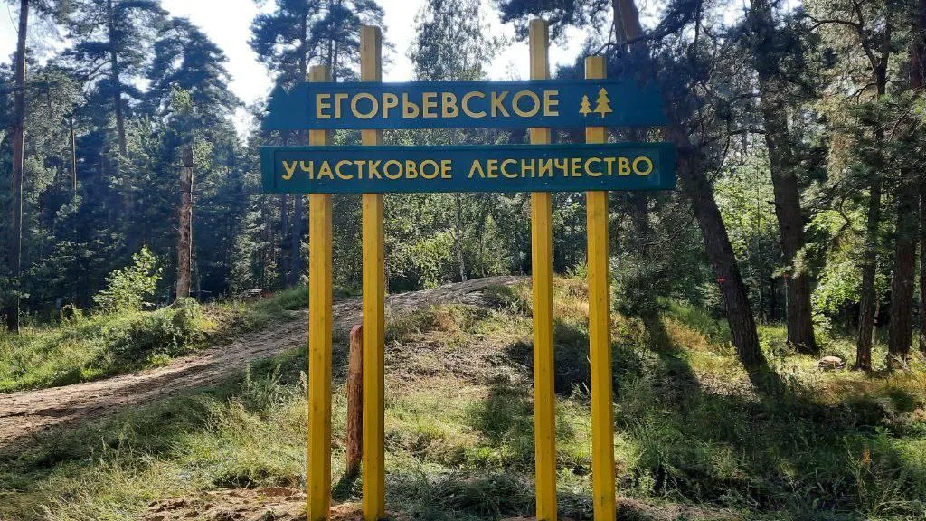 Лесничие построили «Город Птиц» на Жуковой горе в округе Егорьевск