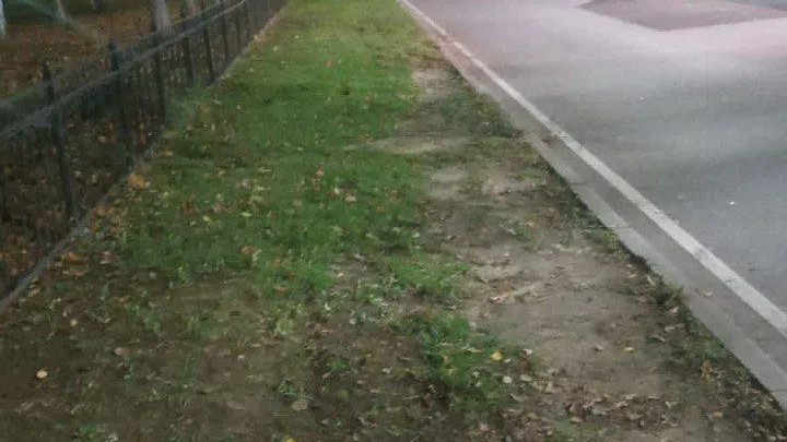 Все мешки с листвой вывезли с улицы Красногорска по просьбе жителя