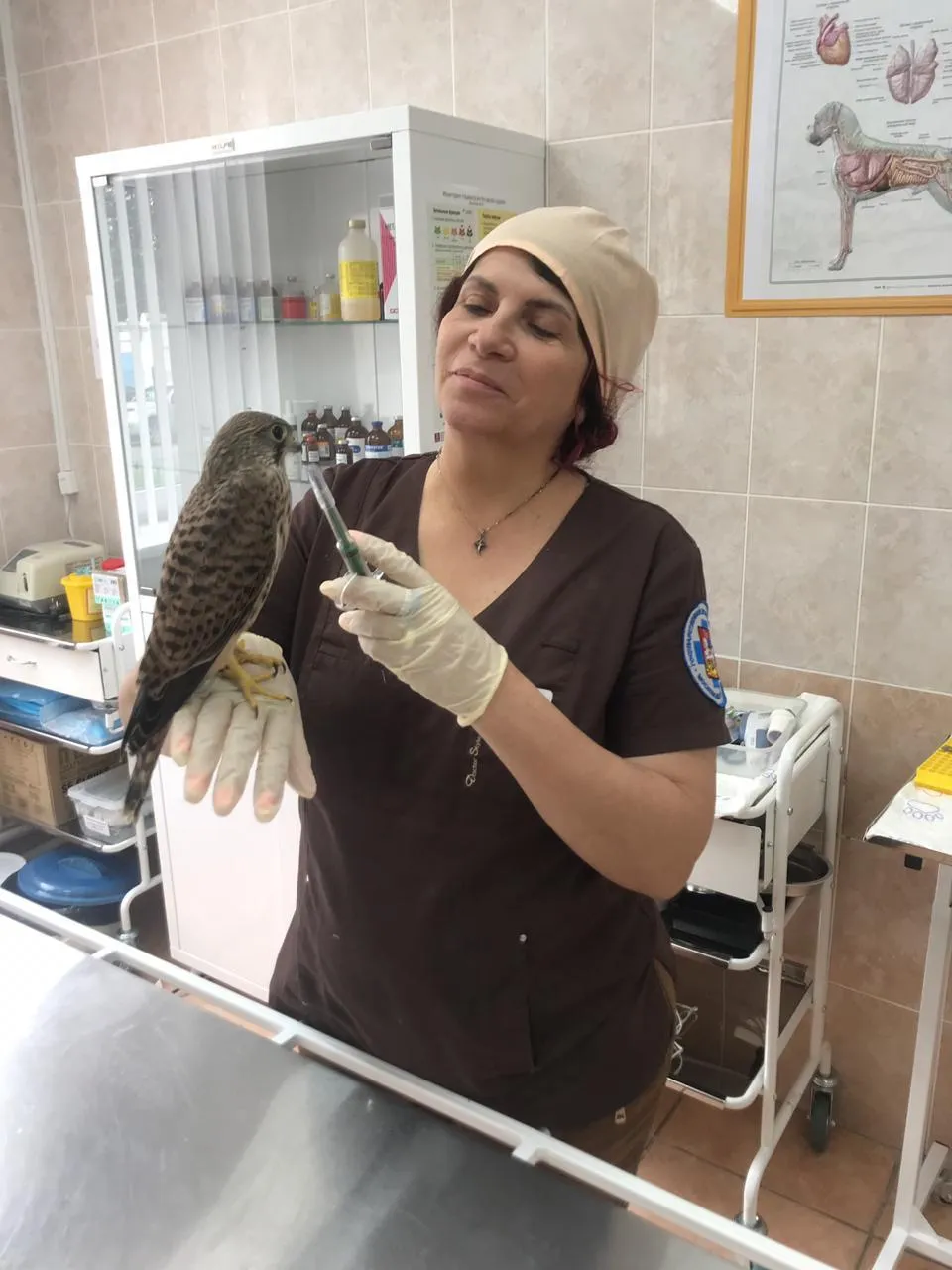пресс-служба министерства сельского хозяйства и продовольствия Московской области