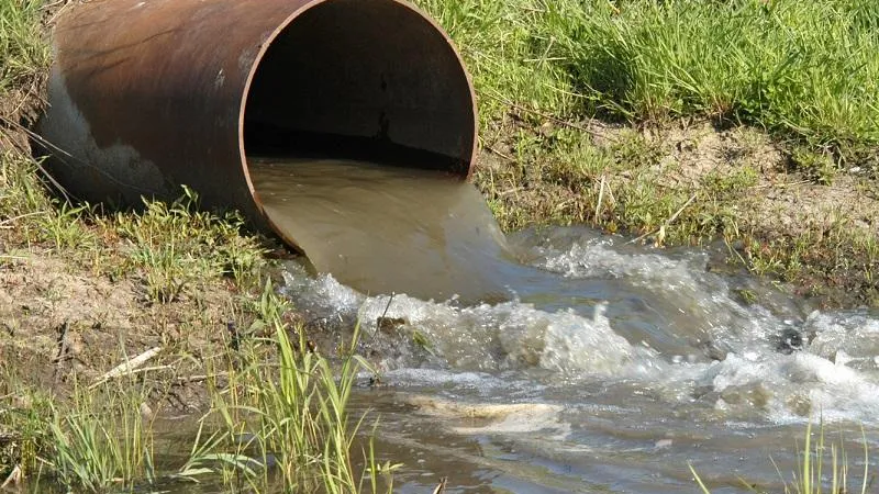 В Раменском округе выявили нарушение водоохранного законодательства