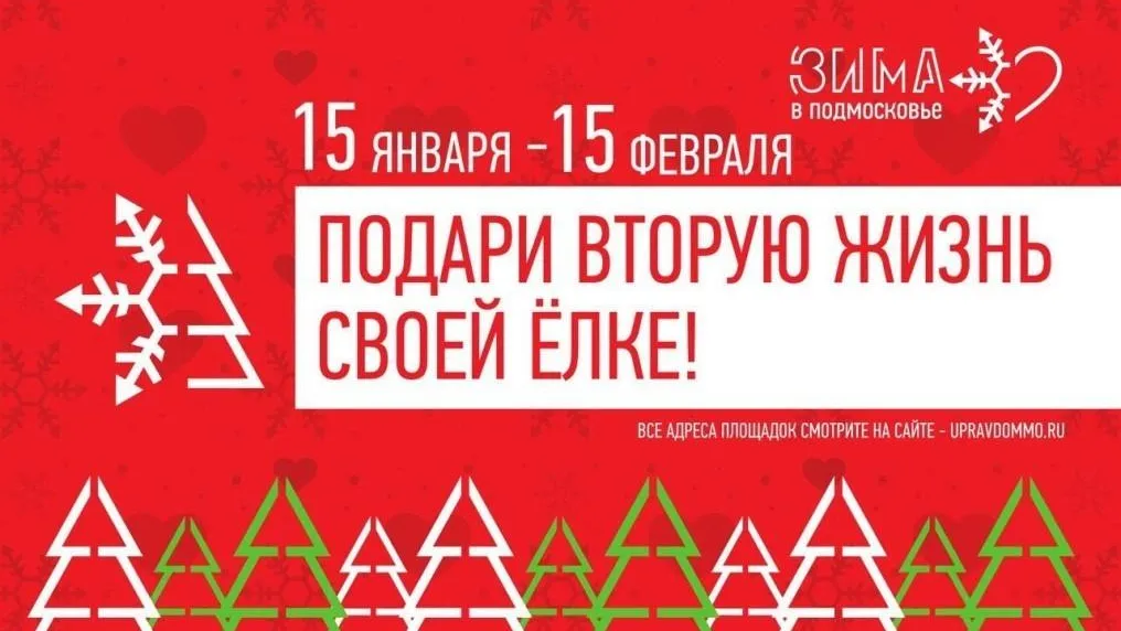 В Подольске сдать елки на утилизацию можно будет с 15 января