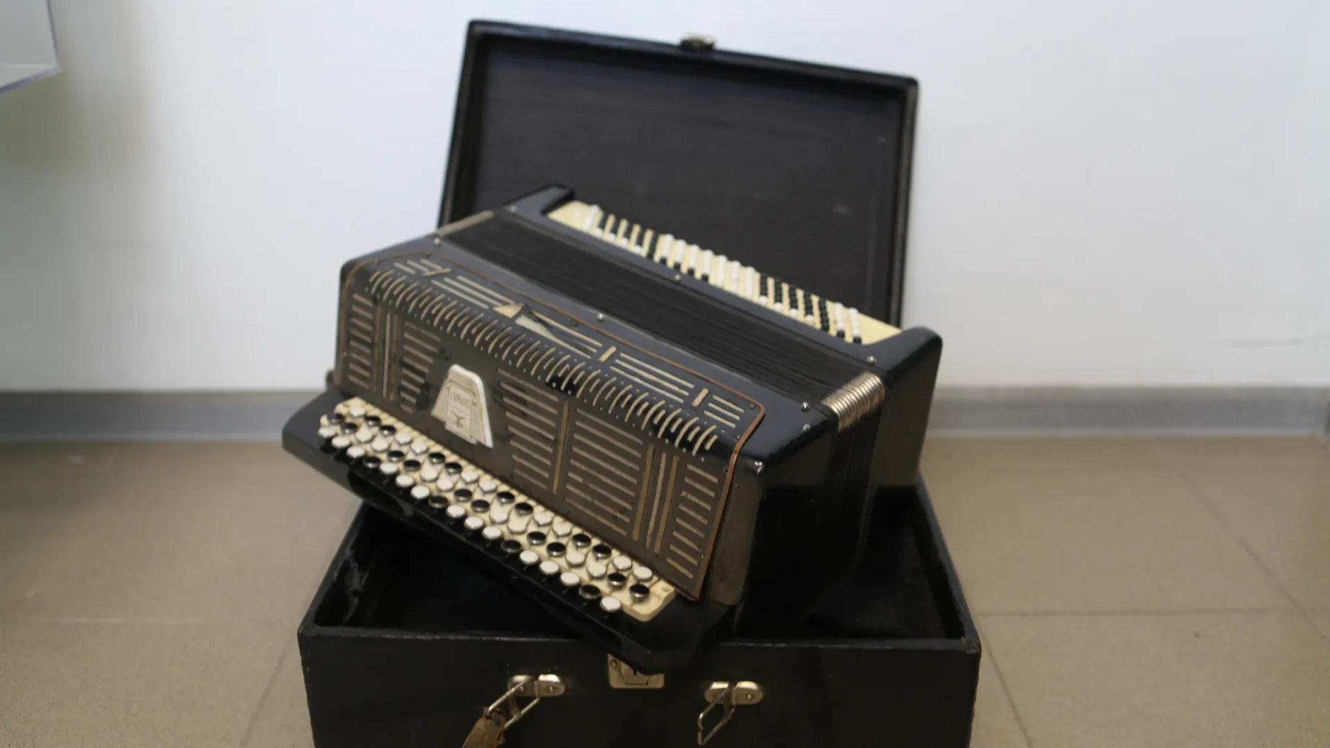 Баян в отличном состоянии нашли на сортировочной линии КПО в Коломне