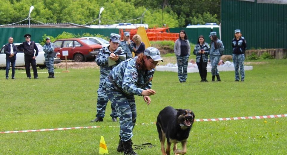 В Дмитрове состоялись региональные соревнования кинологов