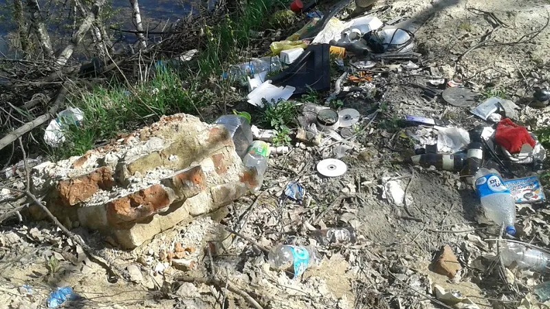 В Подмосковье за 2,5 месяца убрали 12 тысяч незаконных мусорных свалок