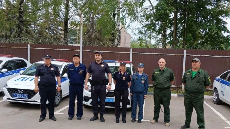 Почти 1,2 тыс патрулирований провела лесная охрана Подмосковья за выходные