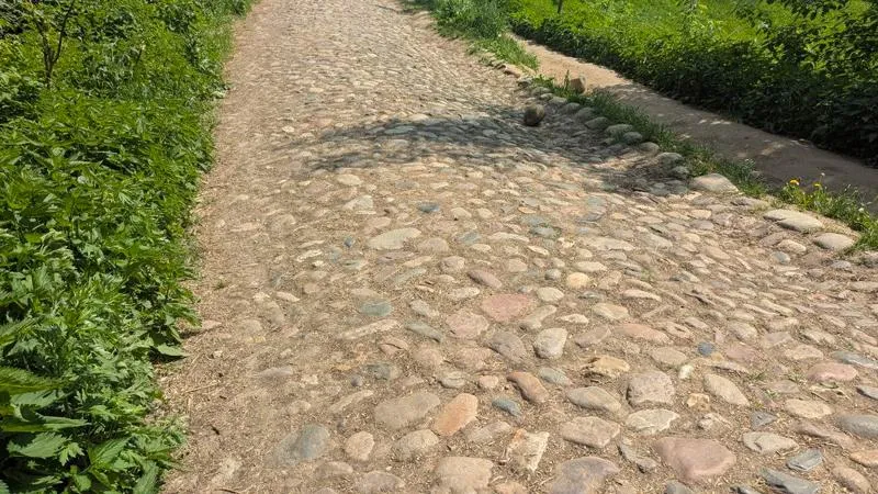 Андрей Дворников