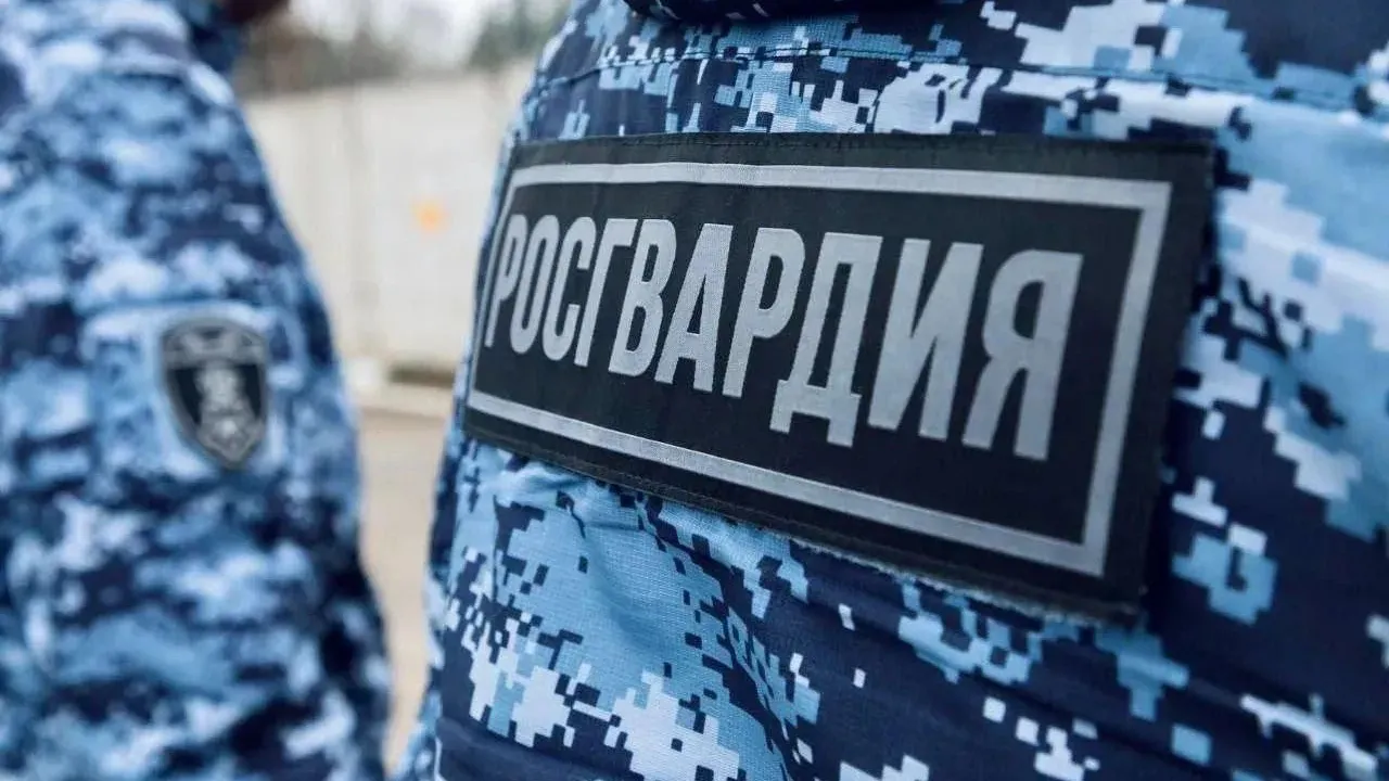 Росгвардейцы задержали пьяного водителя в Чехове
