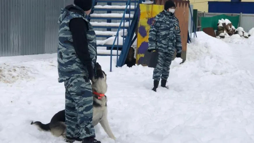 Полицейские Балашихи познакомили курсантов колледжа с особенностями работы кинологов