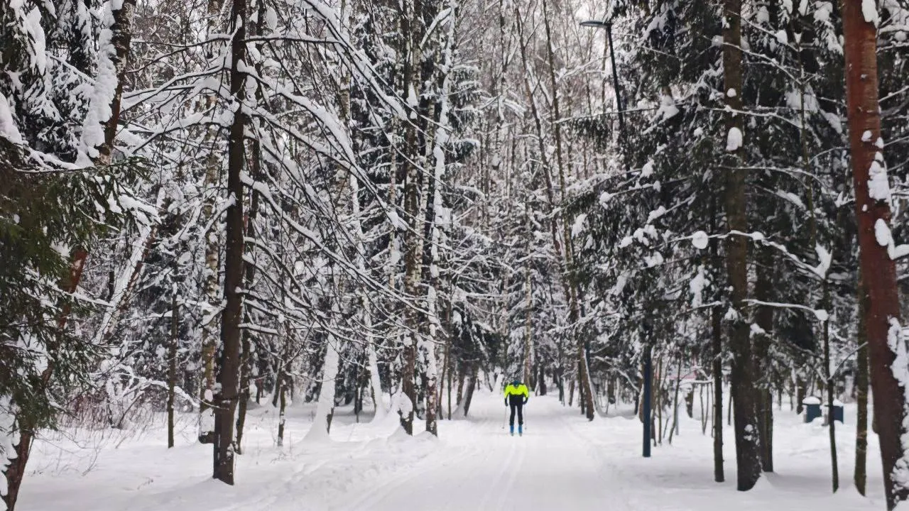 В парках Балашихи пройдут спортивные и культурные мероприятия в январе