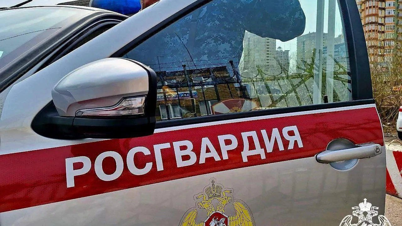 Росгвардейцы задержали в Коломне подозреваемого в краже товаров из магазина
