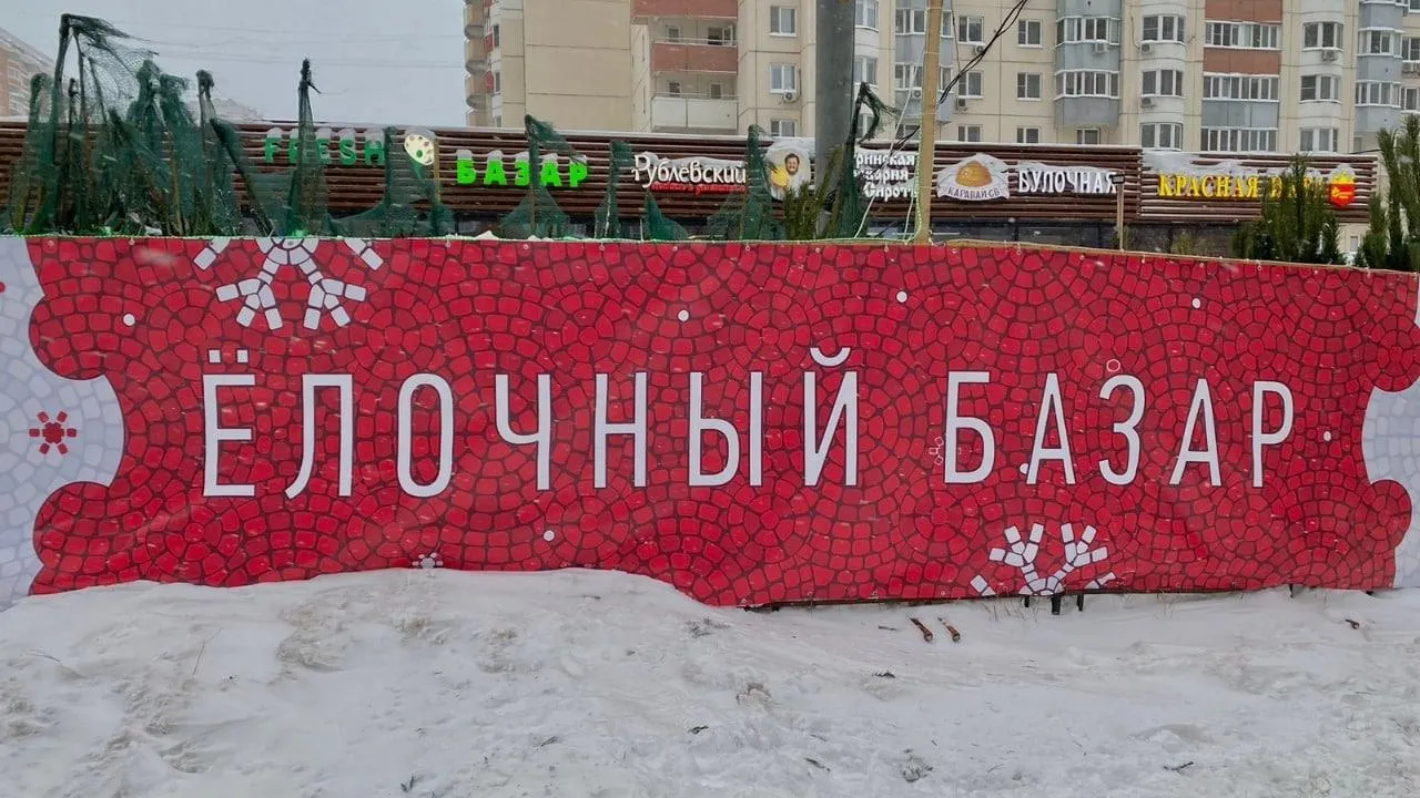 Более 30 елочных базаров начали работать в Красногорске
