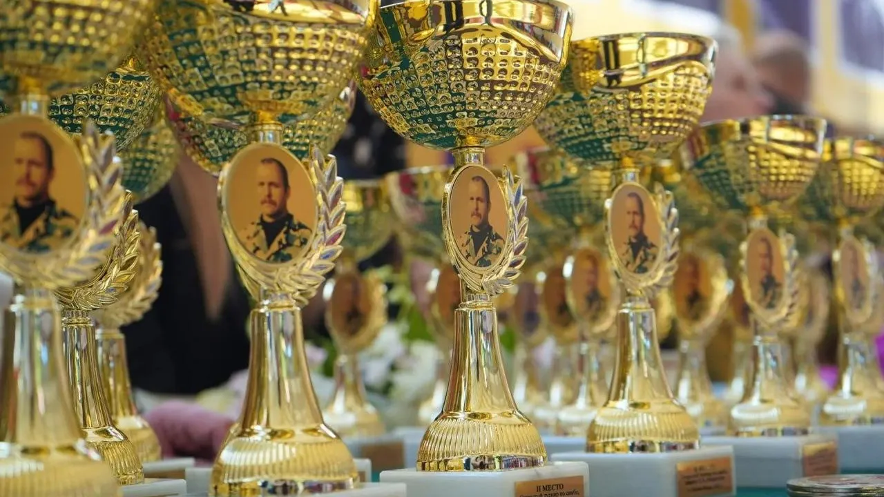 В Сергиевом Посаде провели Всероссийский турнир по самбо