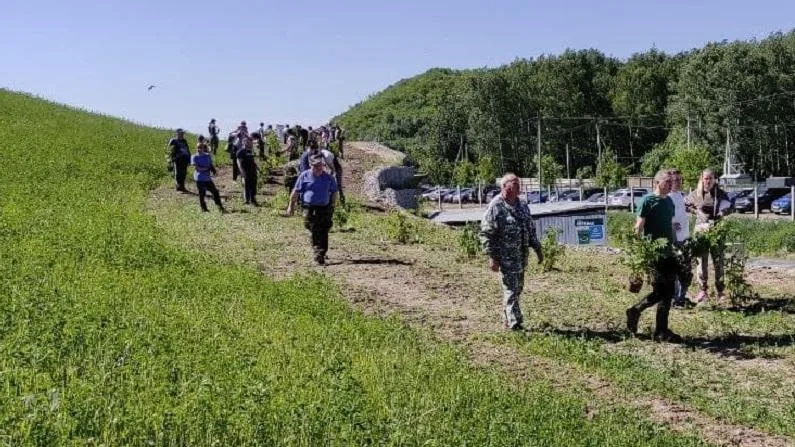 Слово «Лето» сложили из декоративных кустарников на полигоне «Долгопрудный»