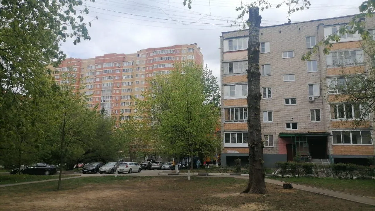 Специалисты кронировали тополь, пух которого мешал жителям Селятина Наро‑Фоминского округа