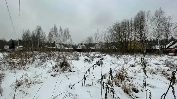 Больше всего лотов выставлено на торги в Химках, Наро-Фоминске и Егорьевске