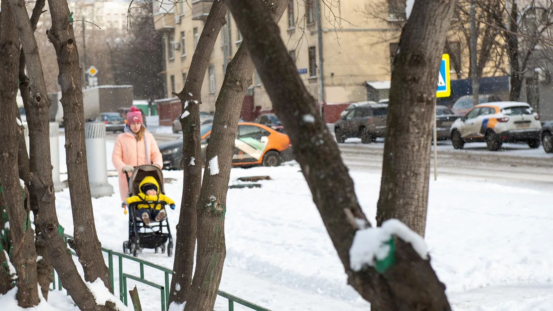 Выпавший в Московском регионе снег может пролежать до весны