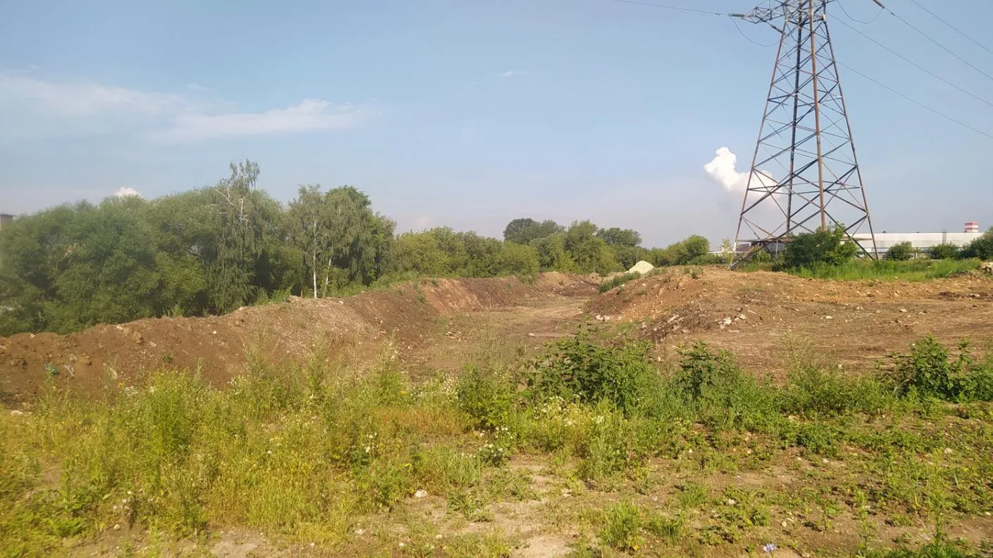 В зоне охраняемого природного ландшафта в Лыткарине выявлено нарушение