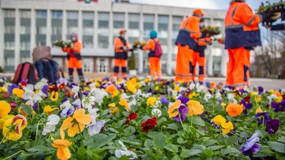 Более 6 млн цветов высадят в Подмосковье весной