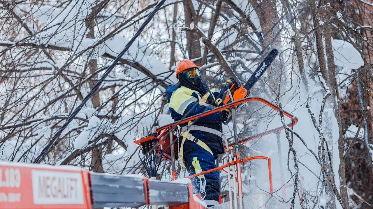 Энергетики провели расчистку двух га охранных зон ЛЭП в Красногорске, Богородском и Орехово-Зуеве