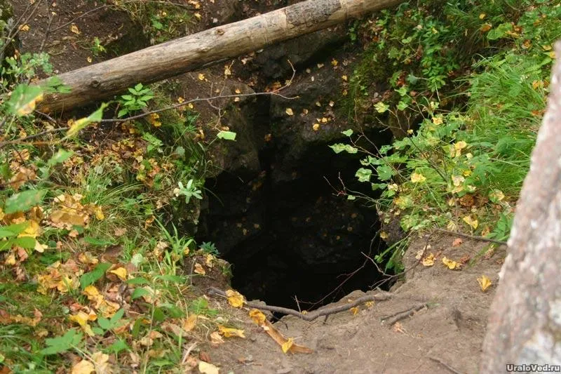 скриншот