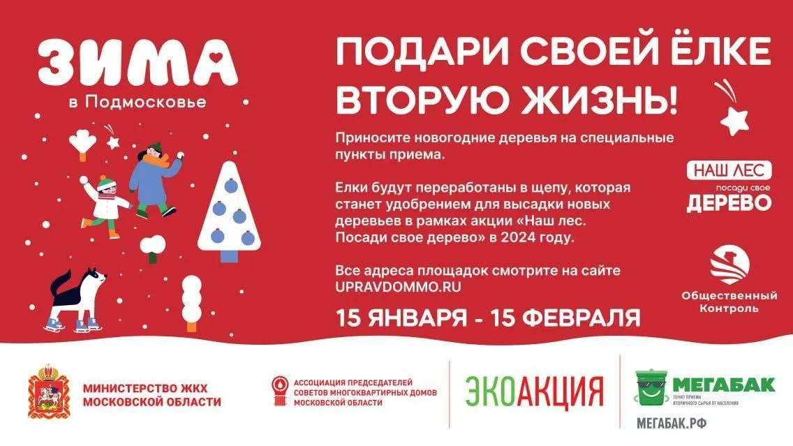 Жители Подмосковья могут сдать новогодние елки на переработку по 15 февраля
