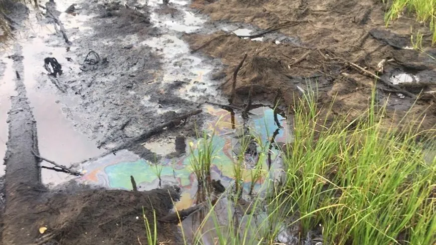 В Люберцах возбудили дело по факту обнаружения навалов тары из‑под нефтепродуктов