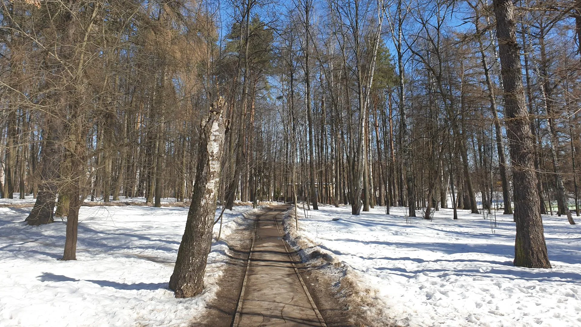 Почти 60 млн руб планируют потратить на благоустройство парка в поселке Красногорска