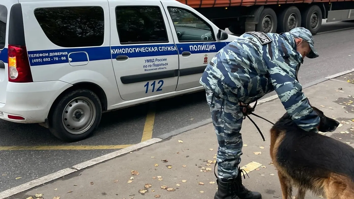 В Подольске кинологи забрали овчарку, которая пришла за хозяином в военкомат