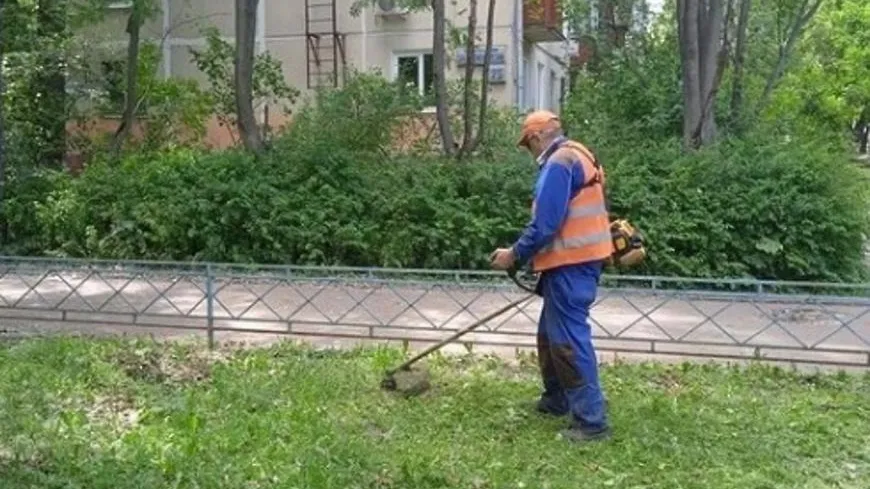 В Люберцах окосили порядка 110 км полосы отвода автомобильных дорог