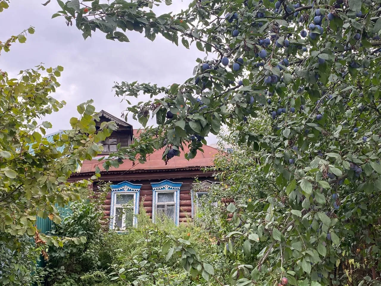 Ольга Швенк
