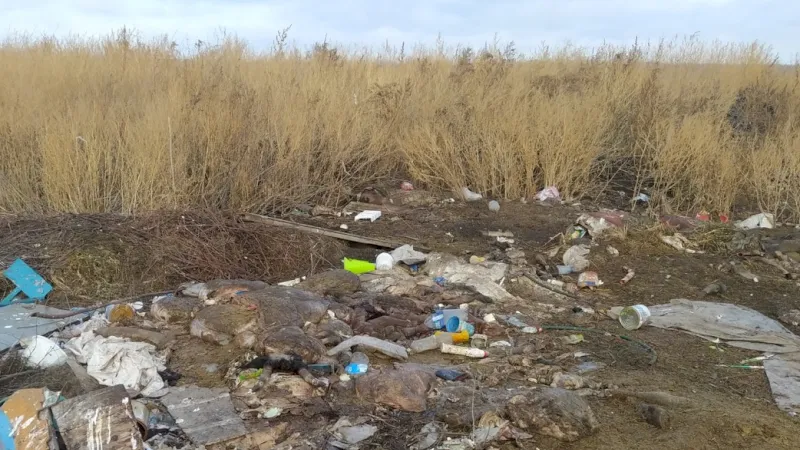 443 куб м мусора вывезли с 2 несанкционированных свалок в Люберцах