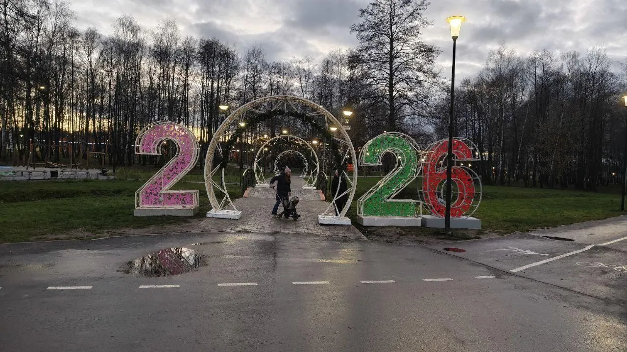 Более 10 новогодних елей установят в Егорьевске в этом году