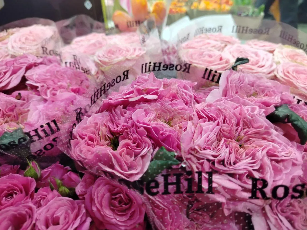 РИАМО, Сергей Дружинин