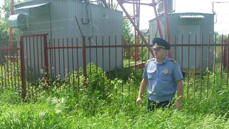 По предписанию Госадмтехнадзора скосили траву на 520 территориях Подмосковья