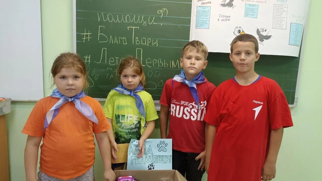 Учащиеся Подмосковья присоединились к Всероссийской акции «Лапа помощи»