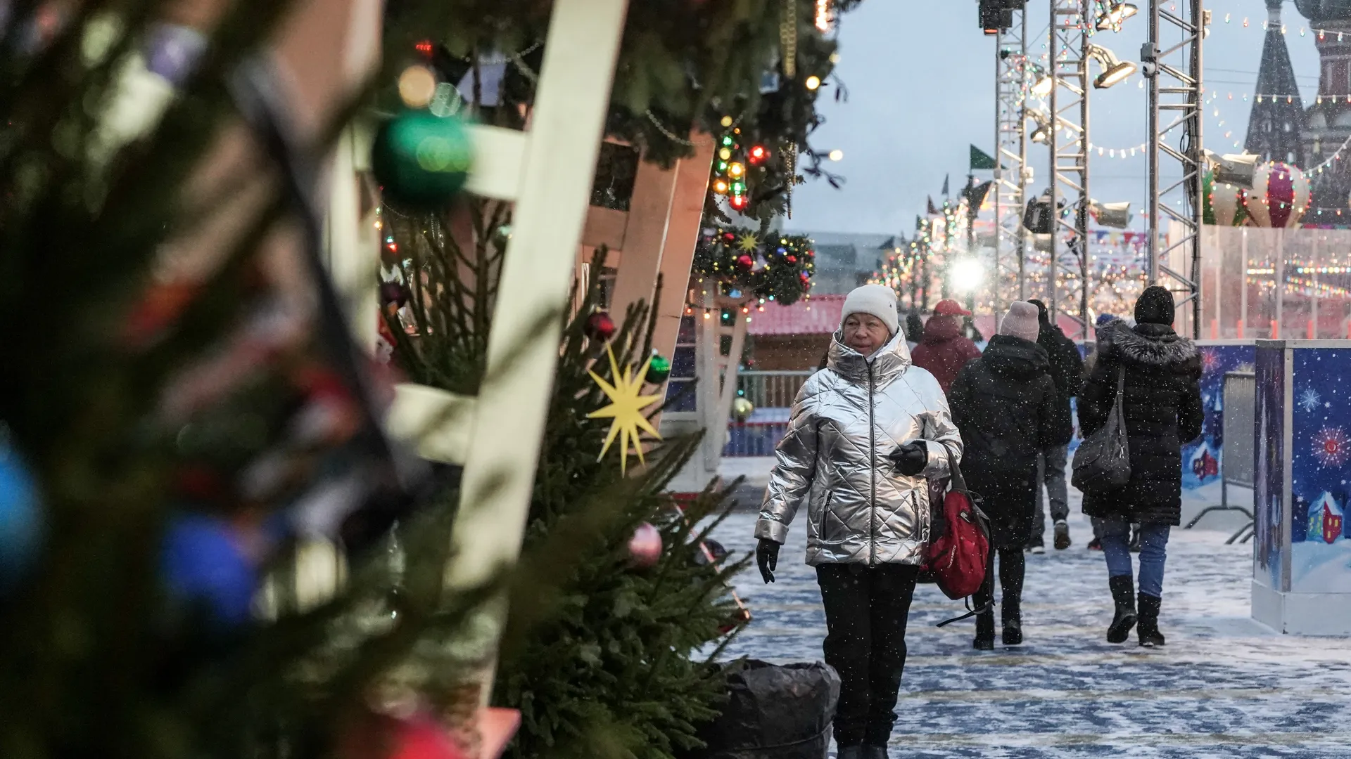 Синоптик Позднякова: москвичи не останутся без снега на Новый год