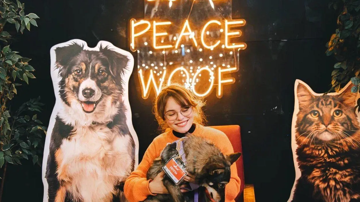Приют GETDOG