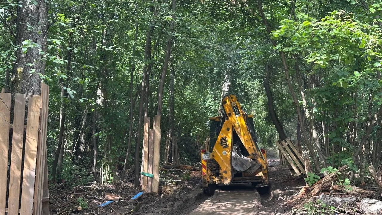 В парке в Королеве появятся комфортные зоны отдыха