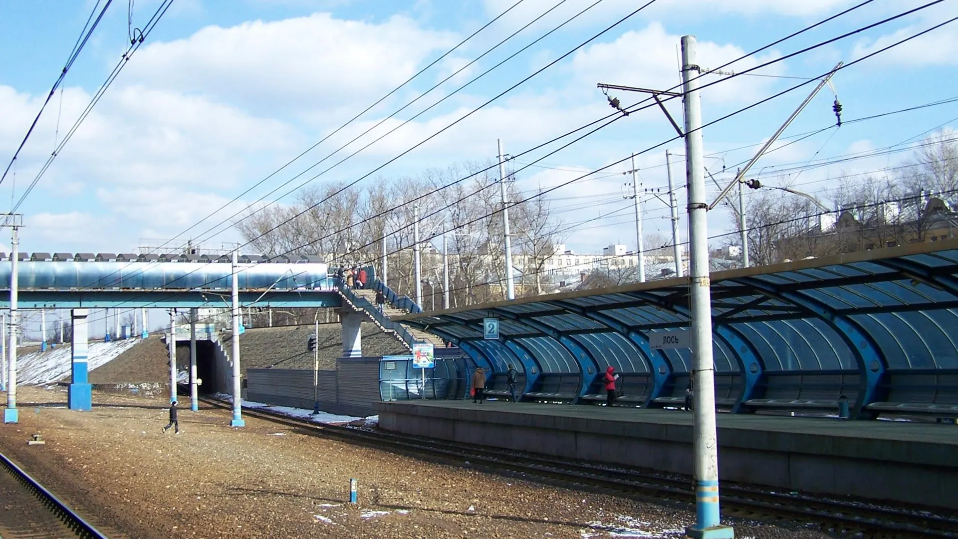 Электричка насмерть сбила человека у платформы Лось в Москве