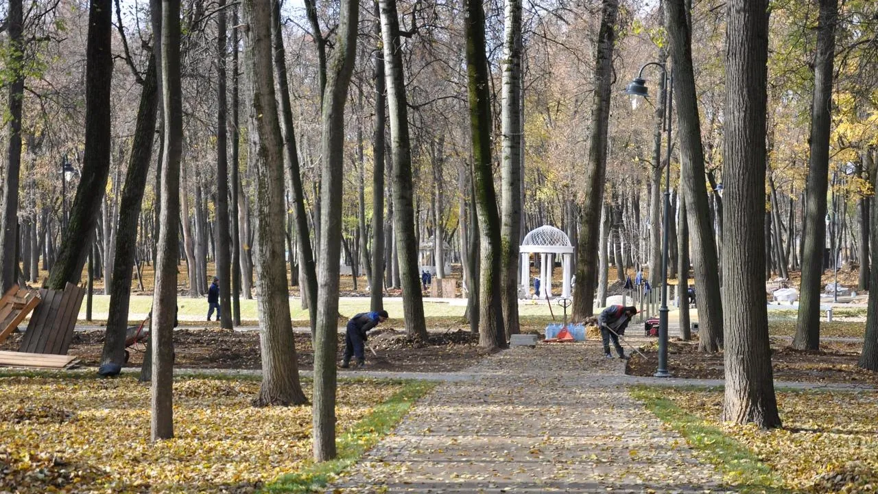Все парки в Подмосковье закрыли для посещения