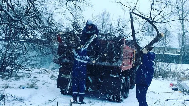 Сухостойные деревья вырубили возле ж/д станции в микрорайоне Львовский Подольска
