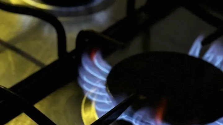 В 719 тыс квартирах Подмосковья проверили газовое оборудование с начала года