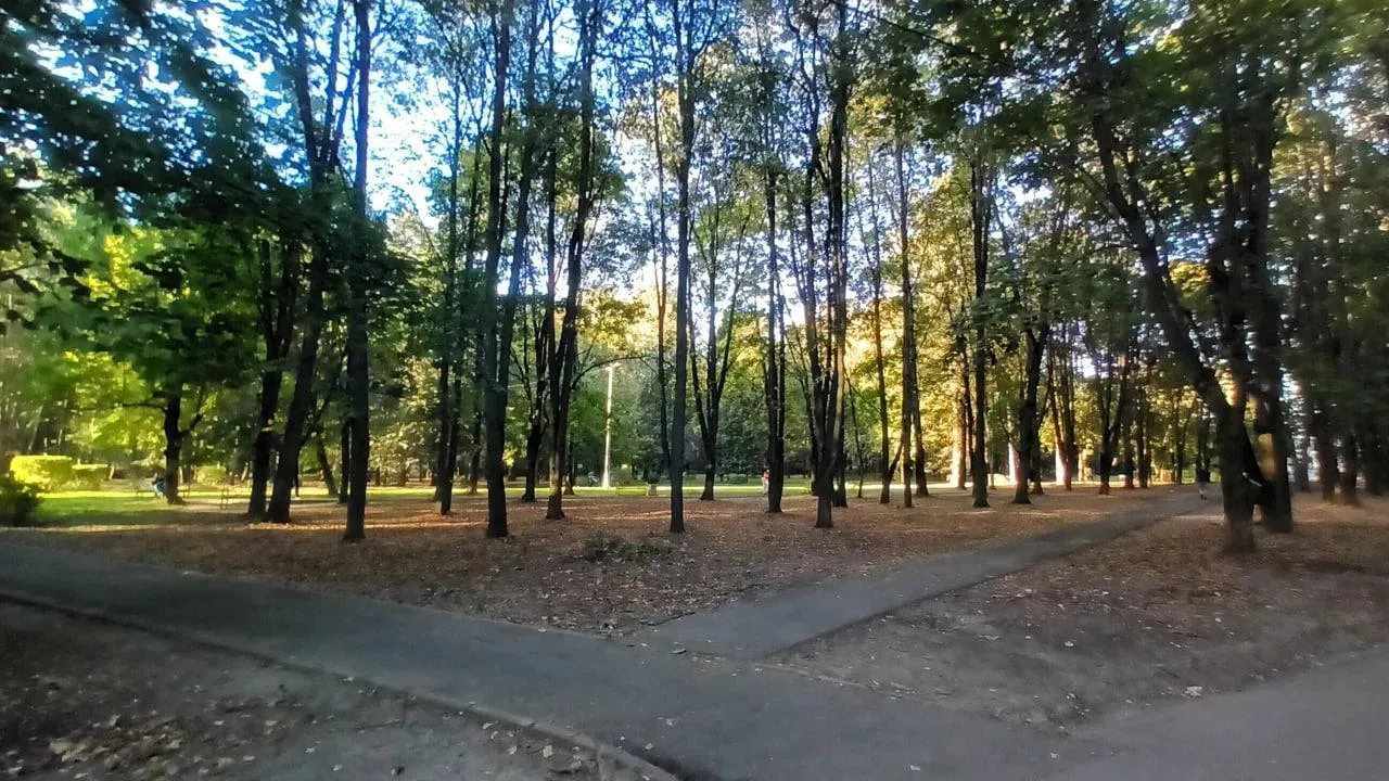 Более 1,3 тыс голосов собрал Старый парк Королева в голосовании за благоустройство