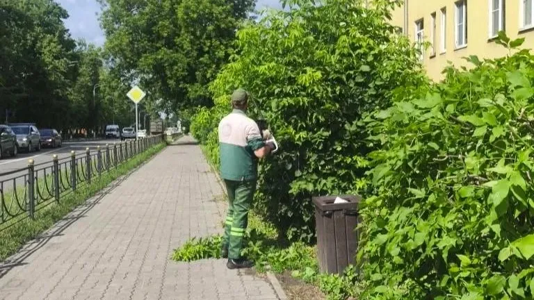 В Электростали за неделю отремонтировали 830 кв м дорог
