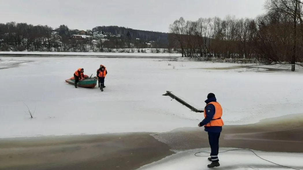 В Коломенском округе спасатели помогли косуле выбраться из ледяной воды