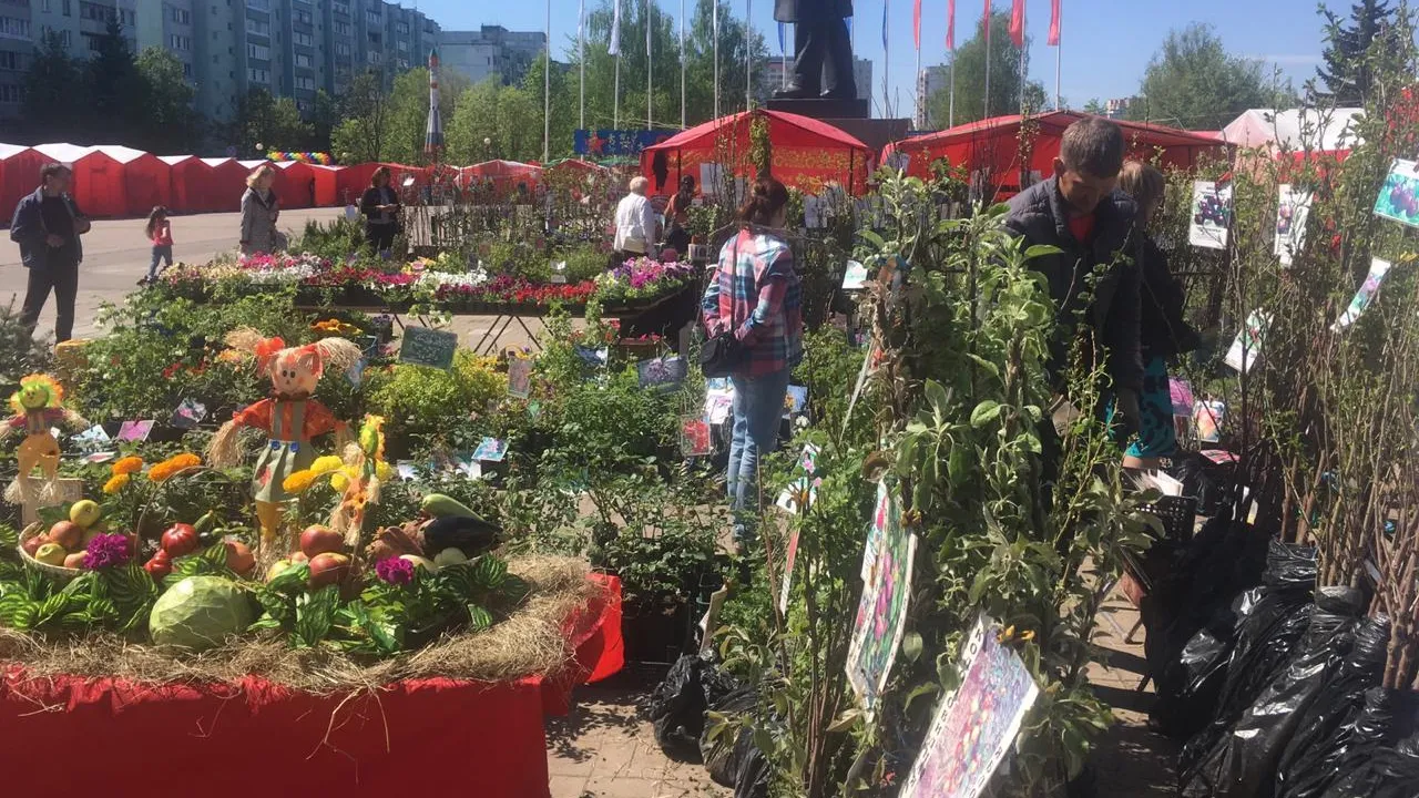 Тематическая ярмарка «Сад и огород» прошла в Краснознаменске