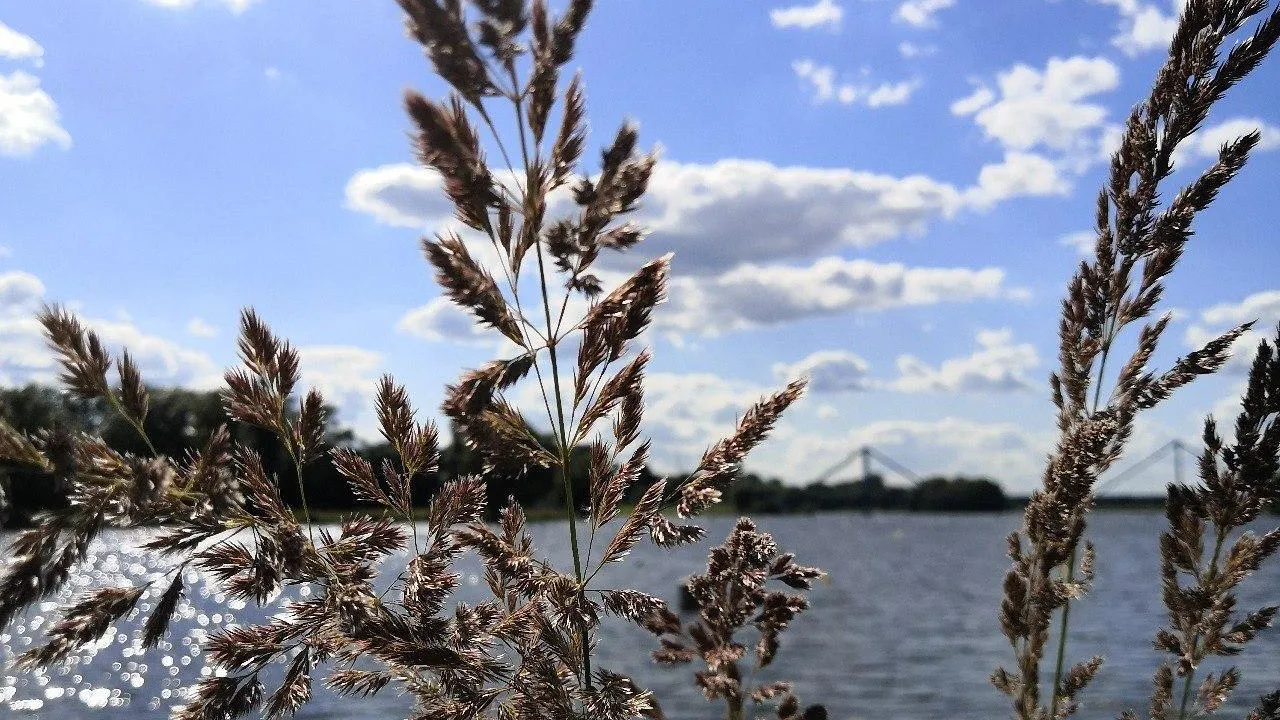 В Музее истории города Бронницы открылась фотовыставка