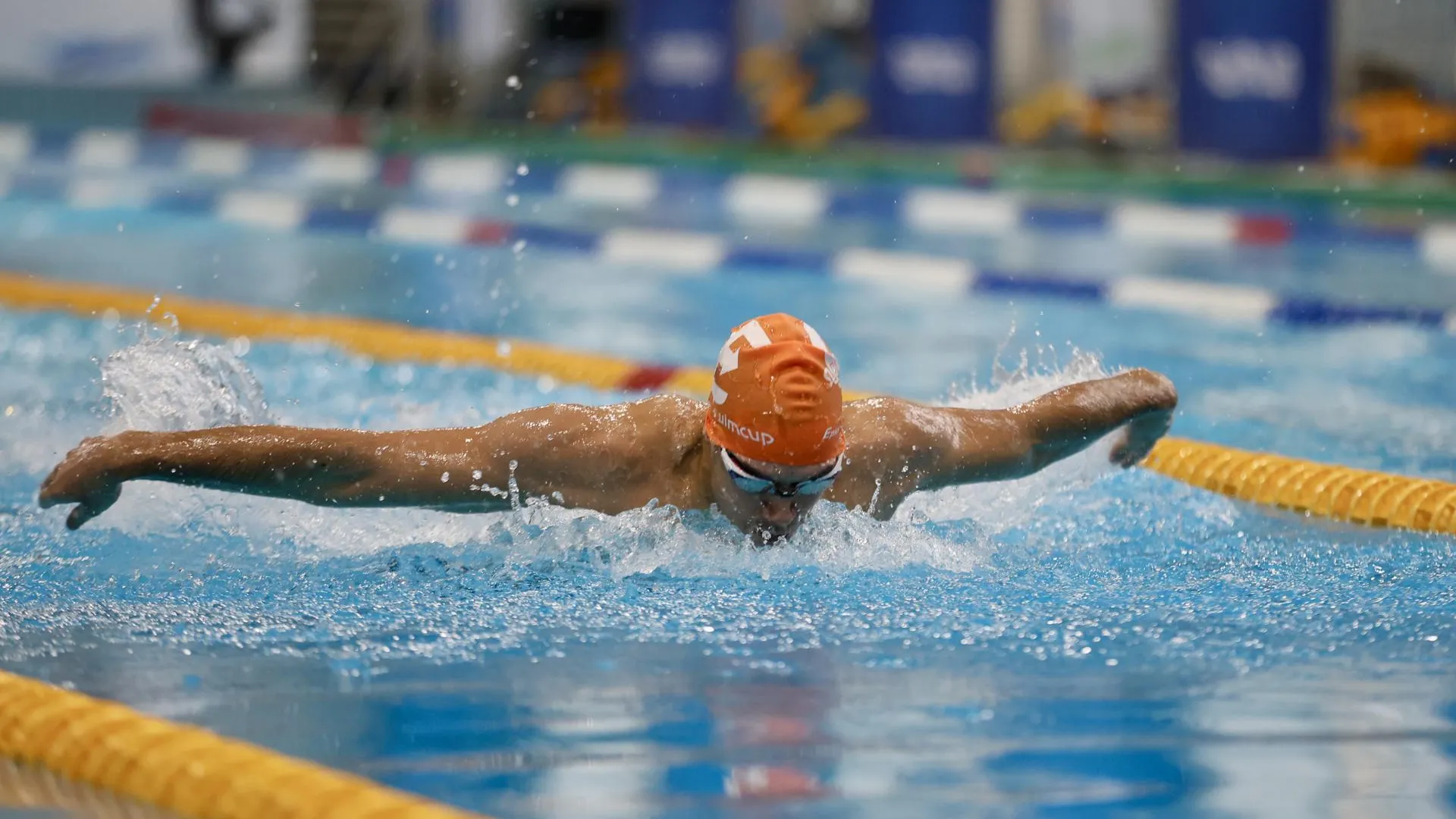 Более 500 пловцов стали участниками старта кубка чемпионов Swimcup в Раменском