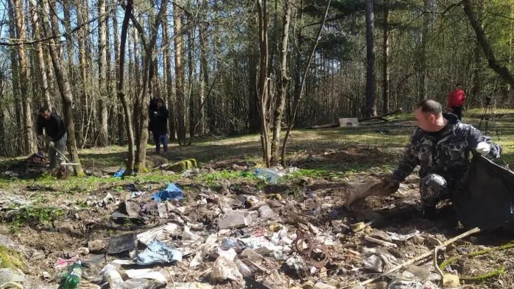 Более 850 навалов мусора убрали в лесах Подмосковья с начала года