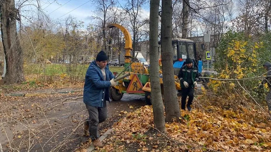 За неделю в Люберцах опилили и вырубили около 30 аварийных деревьев